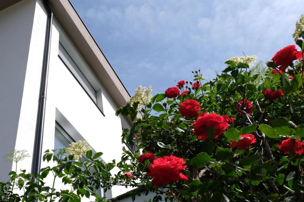 Apartment Le Rose Di Marianne - Sud Vahrn Exterior photo